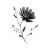 Chicory Flower Vinyl Car Decal Sticker – Waterproof & UV-Resistant 