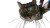 Falling Cat Parachute Vinyl Car Decal Sticker – Waterproof & UV-Resistant 