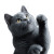 Playful Russian Blue Vinyl Car Decal Sticker – Waterproof & UV-Resistant 