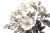 Blooming Floral Elegance Vinyl Car Decal Sticker – Waterproof & UV-Resistant 