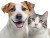 Happy Dog And Cat V2 Vinyl Car Decal Sticker – Waterproof & UV-Resistant 