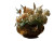 Magic Flower Pot Vinyl Car Decal Sticker – Waterproof & UV-Resistant 