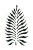 Black Bali Fern Vinyl Car Decal Sticker – Waterproof & UV-Resistant 