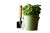 Basil Pot Garden Vinyl Car Decal Sticker – Waterproof & UV-Resistant 