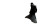 Ancient Deity Silhouette Vinyl Car Decal Sticker – Waterproof & UV-Resistant 