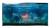 Epic Fish Tank Vinyl Car Decal Sticker – Waterproof & UV-Resistant 