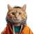 Stylish Orange Cat Vinyl Car Decal Sticker – Waterproof & UV-Resistant 