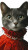 Sophisticated Cat Portrait Vinyl Car Decal Sticker – Waterproof & UV-Resistant 