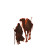 Medieval Arabic Man Vinyl Car Decal Sticker – Waterproof & UV-Resistant 