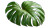 Tropical Monstera Leaf V2 Vinyl Car Decal Sticker – Waterproof & UV-Resistant 