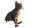 African Wildcat Portrait Vinyl Car Decal Sticker – Waterproof & UV-Resistant 