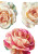 Bloomed Roses Sketch Vinyl Car Decal Sticker – Waterproof & UV-Resistant 