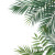 Palm Leaves V3 Vinyl Car Decal Sticker – Waterproof & UV-Resistant 