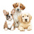 Adorable Puppies Illustration Vinyl Car Decal Sticker – Waterproof & UV-Resistant 