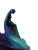 Sad Lonely Mermaid Vinyl Car Decal Sticker – Waterproof & UV-Resistant 