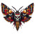 Death Head Moth Vinyl Car Decal Sticker – Waterproof & UV-Resistant 