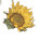 Mysterious Sunflower Illustration Vinyl Car Decal Sticker – Waterproof & UV-Resistant 