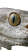 White Snake'S Eye Vinyl Car Decal Sticker – Waterproof & UV-Resistant 