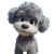 Silver Toy Poodle Vinyl Car Decal Sticker – Waterproof & UV-Resistant 