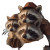 Raccoons In Trenchcoat V2 Vinyl Car Decal Sticker – Waterproof & UV-Resistant 