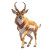 Pronghorn Antelope Vinyl Car Decal Sticker – Waterproof & UV-Resistant 