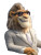 Billionaire Lion Vinyl Car Decal Sticker – Waterproof & UV-Resistant 