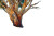 Pohutukawa Tree Art Vinyl Car Decal Sticker – Waterproof & UV-Resistant 