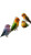 Colorful Birds Chirping Vinyl Car Decal Sticker – Waterproof & UV-Resistant 