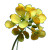 Rapeseed Flower Close-Up V2 Vinyl Car Decal Sticker – Waterproof & UV-Resistant 