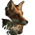 The Fox V2 Vinyl Car Decal Sticker – Waterproof & UV-Resistant 