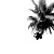 Palm Tree Art Vinyl Car Decal Sticker – Waterproof & UV-Resistant 