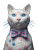 Polka-Dot Cat V2 Vinyl Car Decal Sticker – Waterproof & UV-Resistant 