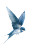 Flying Swallow Illustration Vinyl Car Decal Sticker – Waterproof & UV-Resistant 