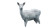 White Frost Deer Vinyl Car Decal Sticker – Waterproof & UV-Resistant 