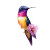 Colorful Hummingbird V2 Vinyl Car Decal Sticker – Waterproof & UV-Resistant 