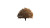 Majestic Oak Tree V5 Vinyl Car Decal Sticker – Waterproof & UV-Resistant 