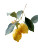 Lemon Illustration Vinyl Car Decal Sticker – Waterproof & UV-Resistant 