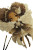 Gothic Chibi Angel Vinyl Car Decal Sticker – Waterproof & UV-Resistant 