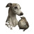 Grace The Greyhound Vinyl Car Decal Sticker – Waterproof & UV-Resistant 