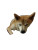 Cozy Shiba Inu Vinyl Car Decal Sticker – Waterproof & UV-Resistant 