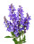 Salvias Vinyl Car Decal Sticker – Waterproof & UV-Resistant 