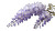 Wisteria Blooms Vinyl Car Decal Sticker – Waterproof & UV-Resistant 