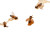 Honeycomb With Bees Vinyl Car Decal Sticker – Waterproof & UV-Resistant 