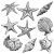 Starfish Collection V2 Vinyl Car Decal Sticker – Waterproof & UV-Resistant 