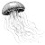 Vector Jellyfish Vinyl Car Decal Sticker – Waterproof & UV-Resistant 