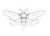 Moth Tattoo Design Vinyl Car Decal Sticker – Waterproof & UV-Resistant 