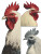 Warhol Rooster Portraits Vinyl Car Decal Sticker – Waterproof & UV-Resistant 