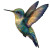 Vibrant Hummingbird Art Vinyl Car Decal Sticker – Waterproof & UV-Resistant 