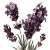 Vintage Lavender Flower Vinyl Car Decal Sticker – Waterproof & UV-Resistant 