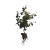Floating Vine Vinyl Car Decal Sticker – Waterproof & UV-Resistant 